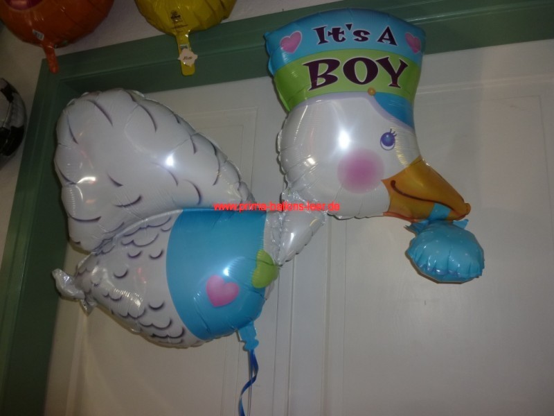 Geburt-Storch-Junge-Boy