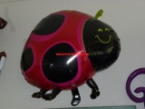 Folien-Ballon-Käfer